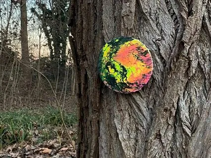 Dragon's Affirmations, Claim Back Your Power