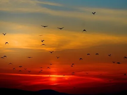 Dragon Wizard Meditation Music - Become Yourself