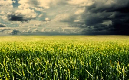 Drama Kings & Queens