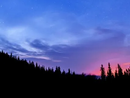 Dream (60 Min Of Birds, Sea Tides & Theta Brain Waves)