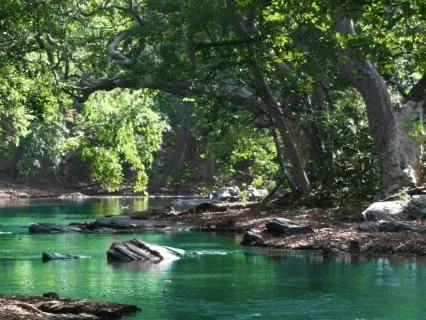 Dream Atmospheres - The Stream (8 Hours)