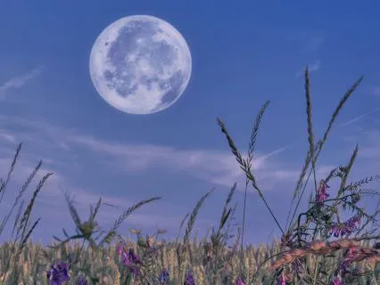 Dream Blooming Meditation