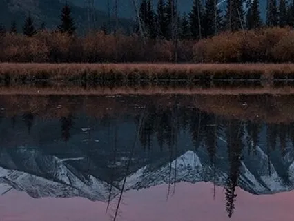 Dream Body, Dream World