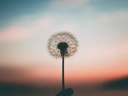 Dream - Calming Chimes Sound Healing
