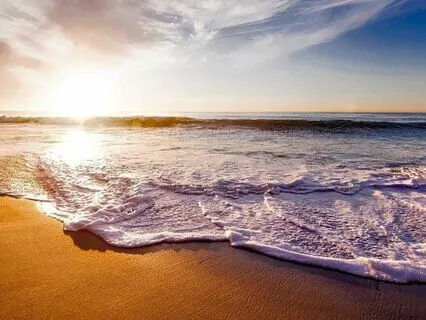 Dream Career Visualization