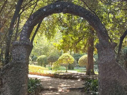 Dream Day Visualisation