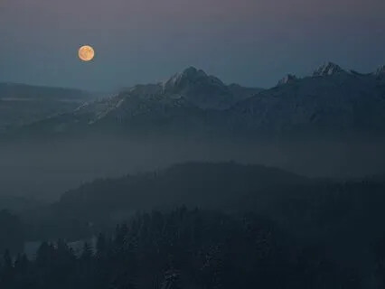 Dream Deep: Soothing Lullaby For Adults To Sleep Like A Baby