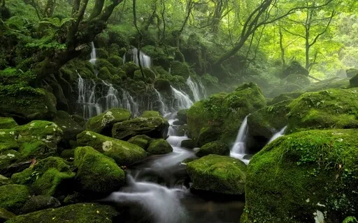 Dream Elements - Water