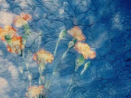 Dream, Imagine, Create