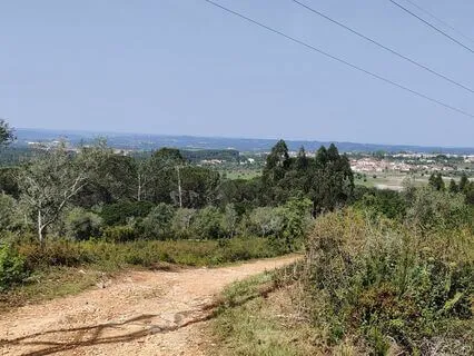 Dream Life Affirmations (Abraham Hicks Inspired)