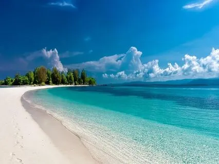 Dream Life Manifestation