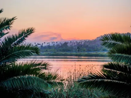 Dream Life Meditation