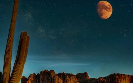 Dream Of The Cosmos (Native American Flute 432 Hz - Longer)