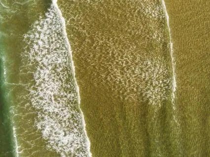 Dream Tide