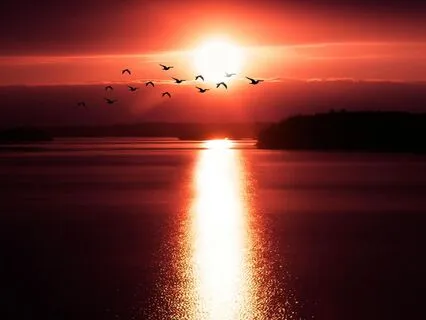 Dream Waves | 1.8 Hz Delta Binaural Beats | Insomnia Relief