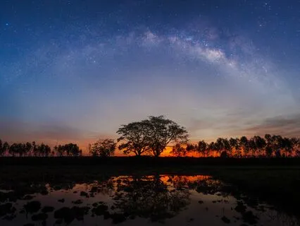 Dreamer's Escape: Sink Into Rest