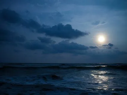 Dreaming (3-Hour Version)