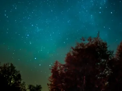 Dreaming... With Nocturnal Sounds