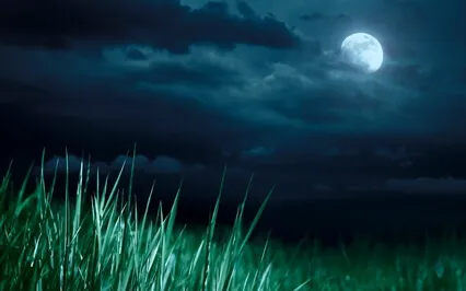 Dreaming In A Moonlit Meadow (Meditation Sleep Story)