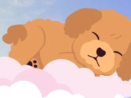 Dreaming Of Fluffy Clouds
