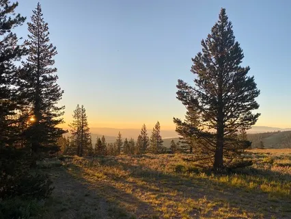 Dreaming Of Flute In Flowing Bliss