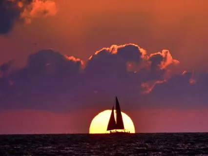 Dreaming The New Earth