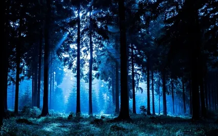 Dreaming Wisdom (Meditation Bedtime Story)