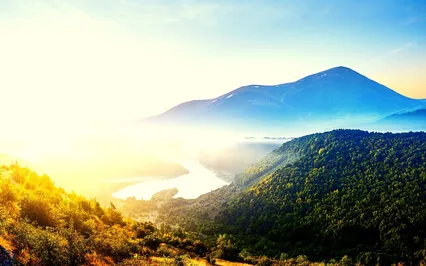 Dreamlike Charango (Peace, Gratitude, Relaxation, Sleep)