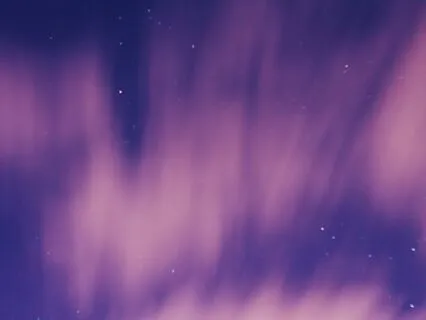 Dreams In The Night