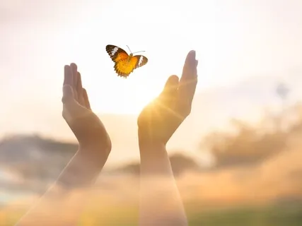 Dreams Of Harmony & Freedom