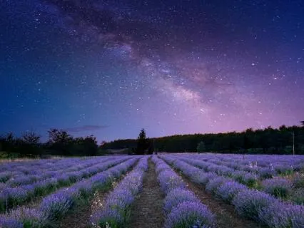 Dreams Of The Deep Calm - 4Hz Binaural Sleep Music - 12 Hr