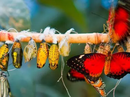 Dreams Of Who We Could Be Come From Our Soul