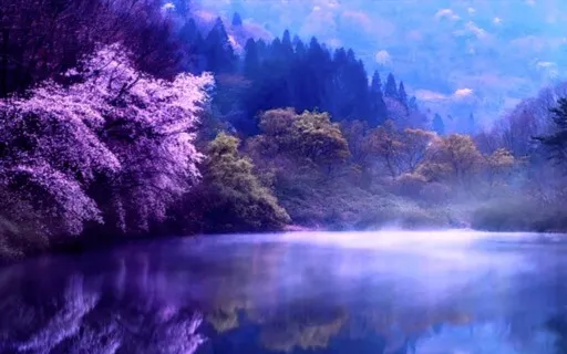 Dreamscape 432 & 528Hz -Manifest Miracles; Healing; Calming