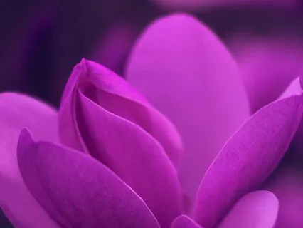 Sink Into Stillness – The Healing Power Of Theta Waves