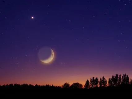 Dreamtime Jungle Rain For Sleep, Relaxation And Meditation.