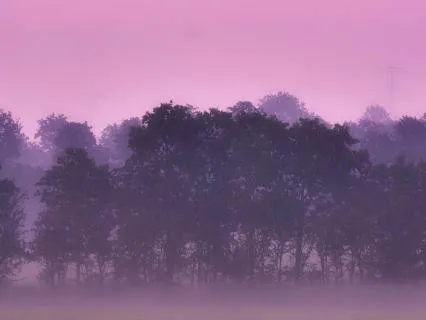 Dreamy Ambient Sleep Instrumental