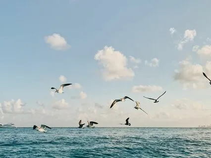 Dreamy Beach Morning Moment: Steel Tongue Drum