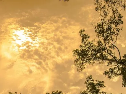 Dreamy Brown Noise | Remastered XXL Version