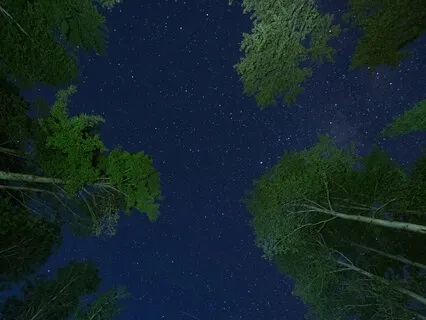 Dreamy Evening Singing Bowl Sound Bath