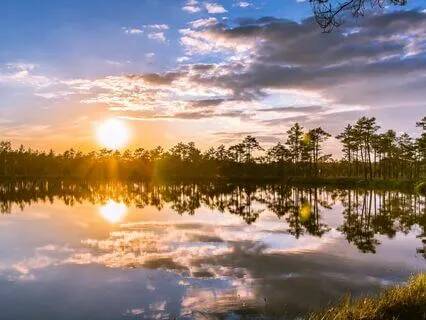 Dreamy Feelings At Sunset