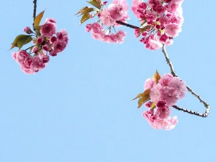 Dreamy Guitar Lines For Peaceful Breathing