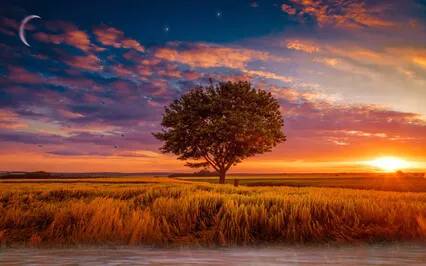 Dreamy Lakeside Days ( Music With Birds Singing )