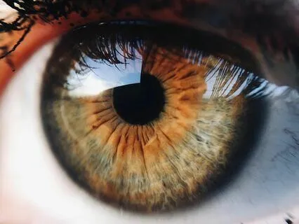 Dreamy Meditation With "Arkana" (1 Hour Long)