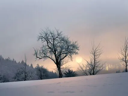 Dreamy Morning Ambience With Calming Music For Relaxation