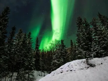 Dreamy Nights: Find Peaceful Rest