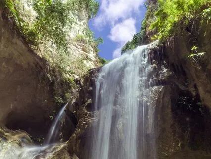 Dreamy Paradise: Music For Focus And Relaxation