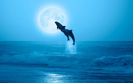 Dreamy Relaxing Music With Ocean Sounds