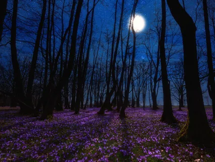 Dreamy Sleep Guided Talk Down