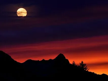 Dreamy Sleep Reflection