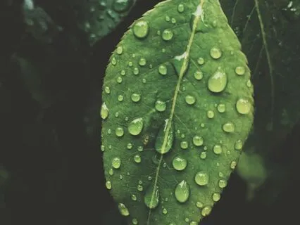 Steel Tongue Drum & Rain Sound Bath (Long)